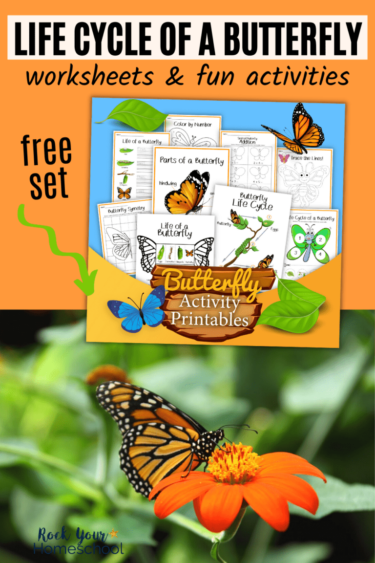 Life cycle of a butterfly printables pack cover with monarch butterfly on orange flower