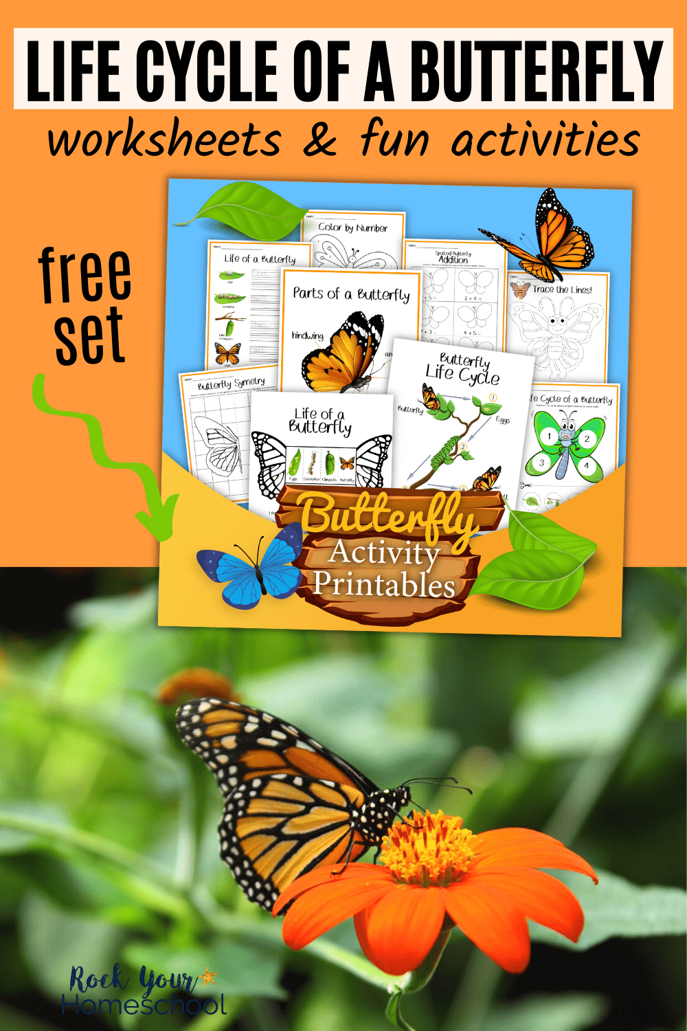 Life Cycle of a Butterfly Printables And Fun Activities (9 Free Worksheets)