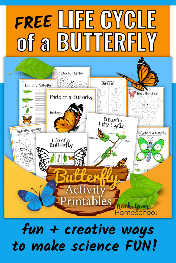 Life cycle of a butterfly printables cover featuring color by number pages, writing, tracing, math, and more