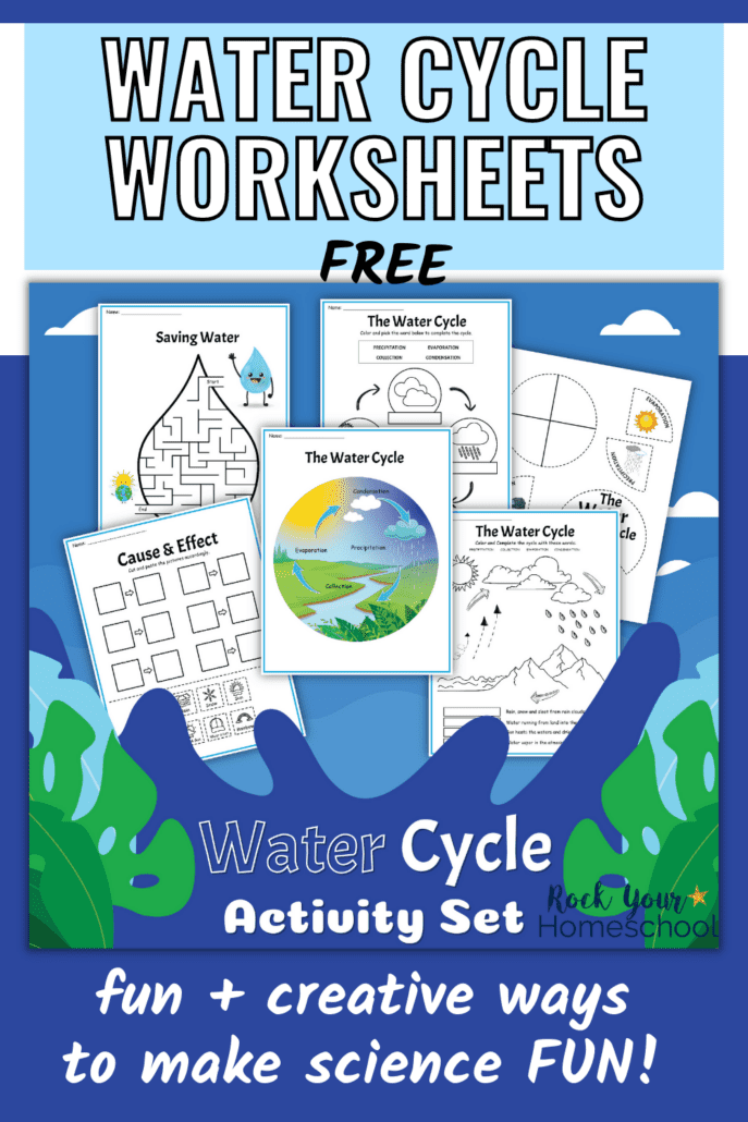 free printable pack of water cycle worksheets cover with variety of activities