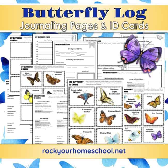 This free set of butterfly identification activities is an excellent way to boost learning fun.