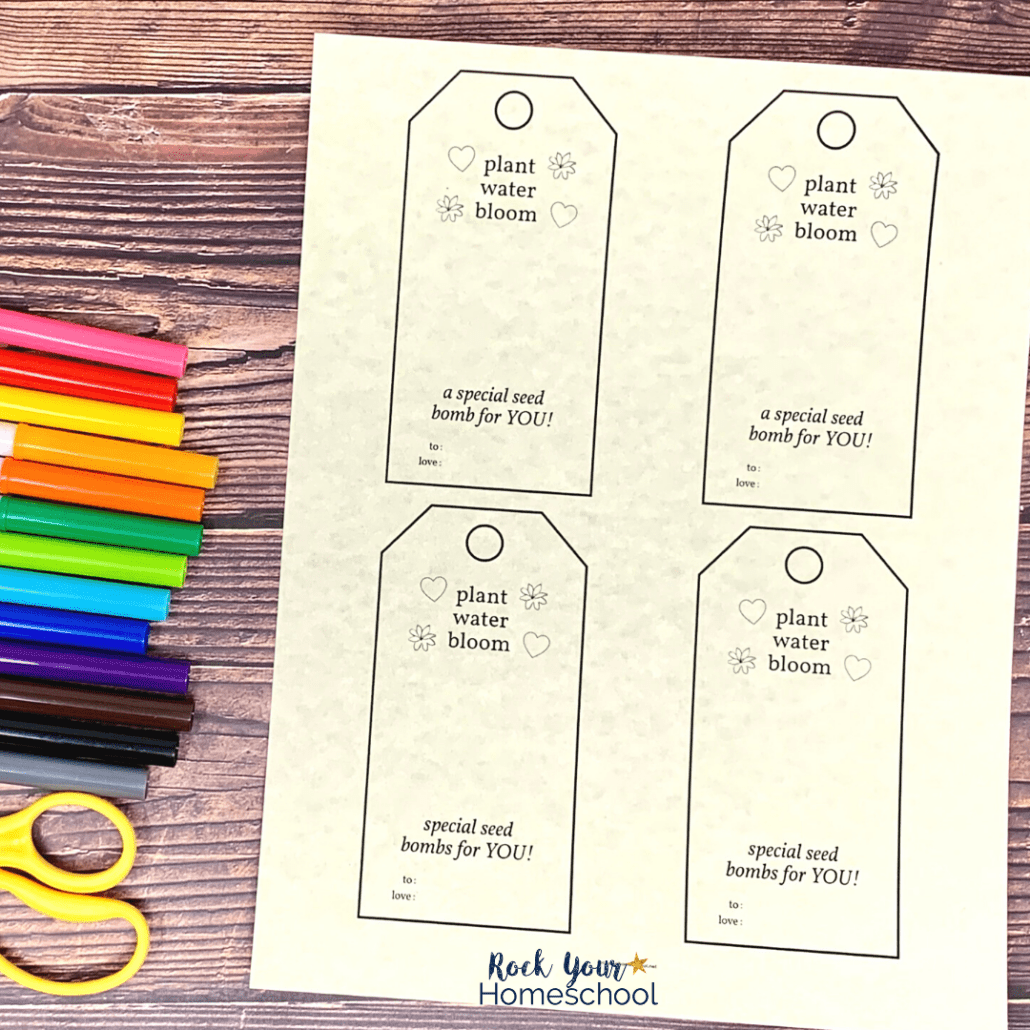 Free Printable Seed Bombs Gift Tags Rock Your Homeschool
