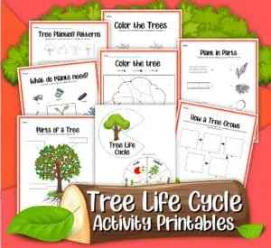 This free set of tree life cycle printable activities are super fun ways to boost your science learning and more.