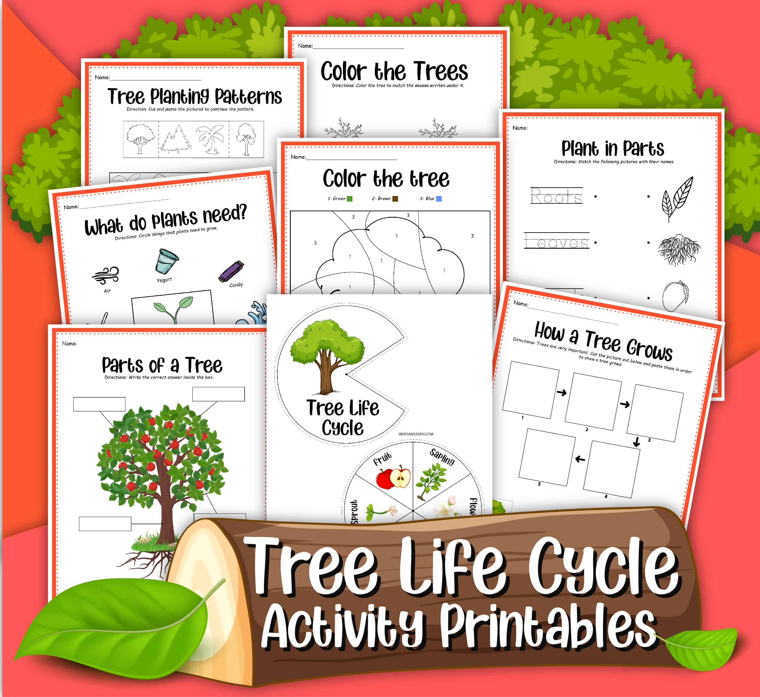 Tree Life Cycle Printable Activities Rock Your Homeschool