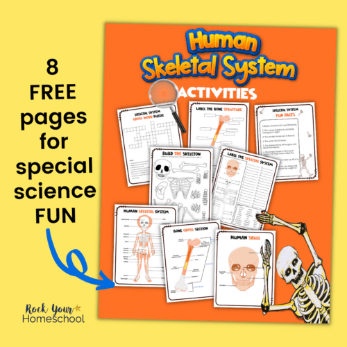 This free printable pack has 8 pages of human skeletal system activities for special science fun.