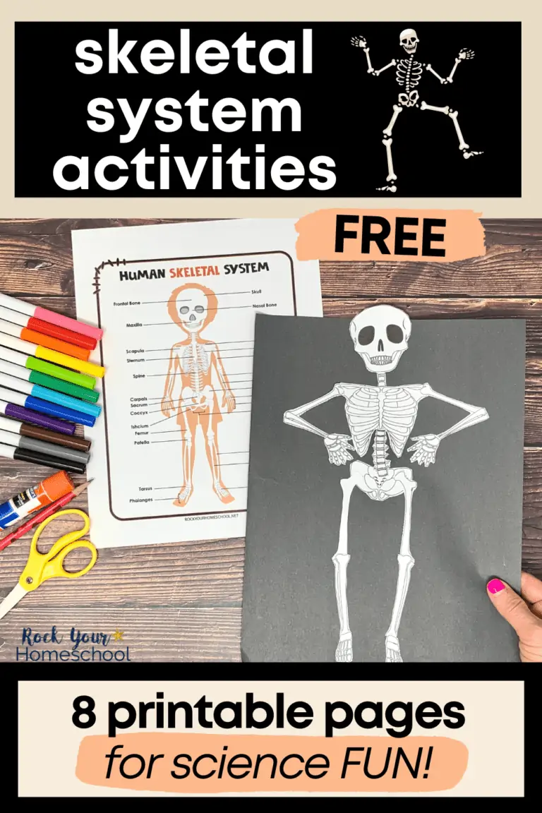 Woman holding cutout of human skeleton on black construction paper with human skeletal system poster, rainbow of markers, yellow scissors, and glue stick on wood background