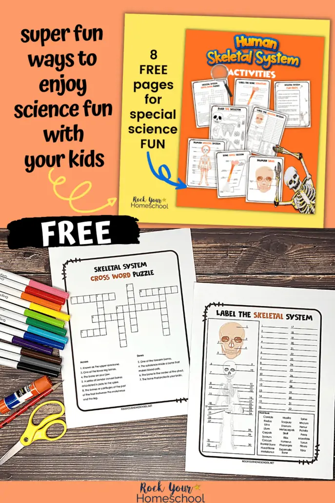 8 free printable human skeletal system activities with examples of crossword puzzle and label the skeletal system with rainbow of markers, glue stick, pencil, and stickers on wood background