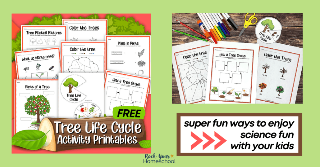 This free printable set of tree life cycle activities is a fantastic way to enjoy science fun with your kids.