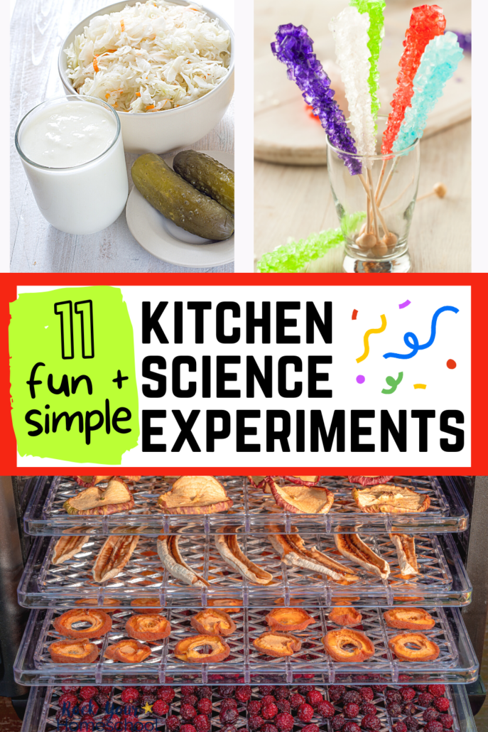 variety of fermented food, rock candy, and dehydrated food in oven to feature these 11 simple and fun kitchen science experiments
