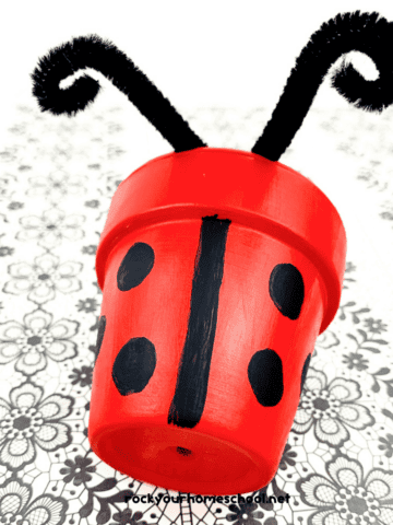 Example of cute ladybug craft for kids using clay pot, paint, and pipe cleaners.