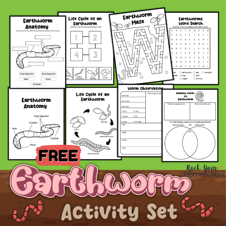 Earthworm Activities For Science Fun: Ideas And 8 Free Printables