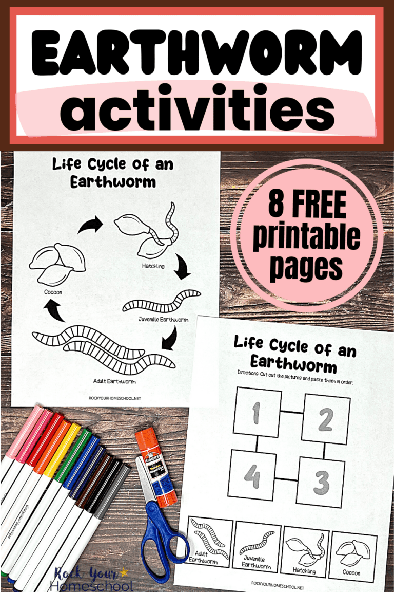 life cycle of an earthworm worksheets, markers, scissors, and glue stick.