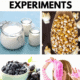 homemade yogurt, popcorn kernels and popcorn, purple raisins and grapes, and girl with pink slime to feature these 40+ edible science experiments