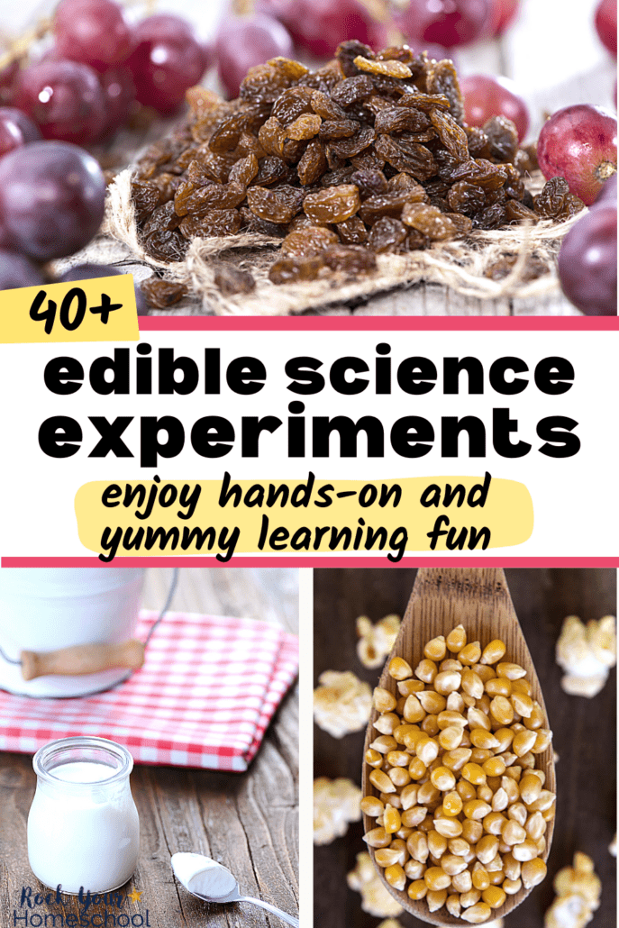 raisins and purple grapes, homemade yogurt, and popcorn kernels with popcorn to feature these 40+ edible science experiments