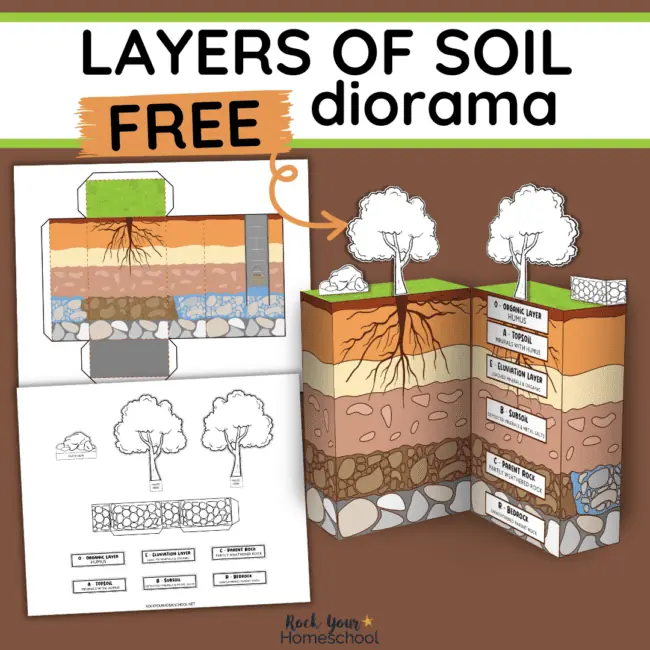 Mock-up of layers of the soil for kids diorama kit.