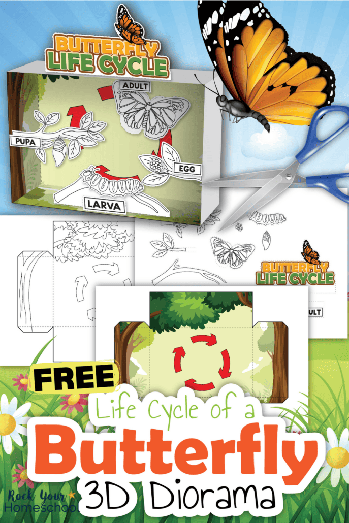 Mock-up of free printable diorama kit of life cycle of a butterfly project.