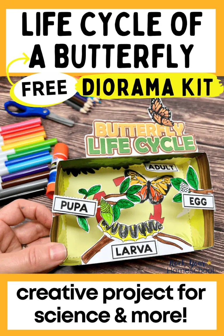 Woman holding free printable diorama featuring life cycle of a butterfly project.