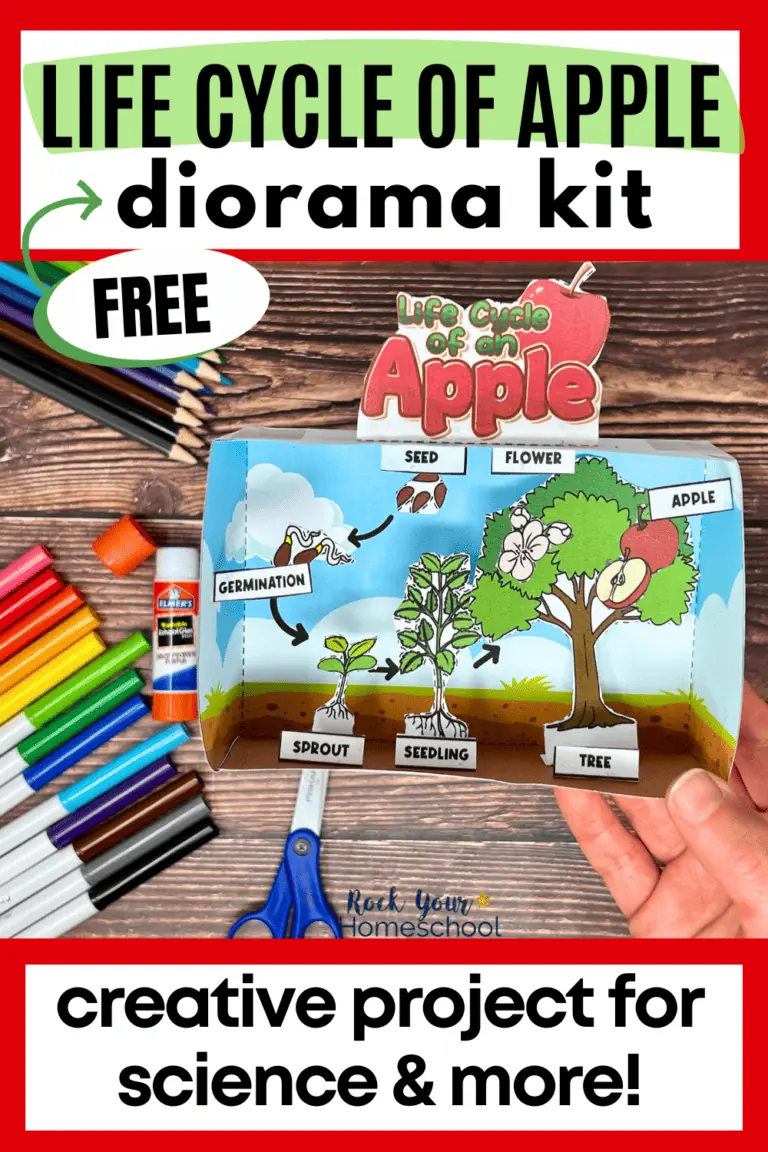Woman holding 3D diorama of life cycle of apple tree with color pencils, markers, and scissors in background.