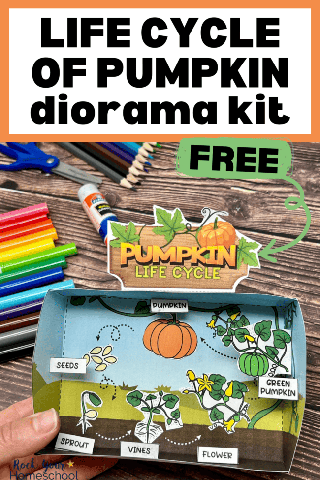 Life Cycle Of a Pumpkin: Creative Diorama Activity (Free Printable)