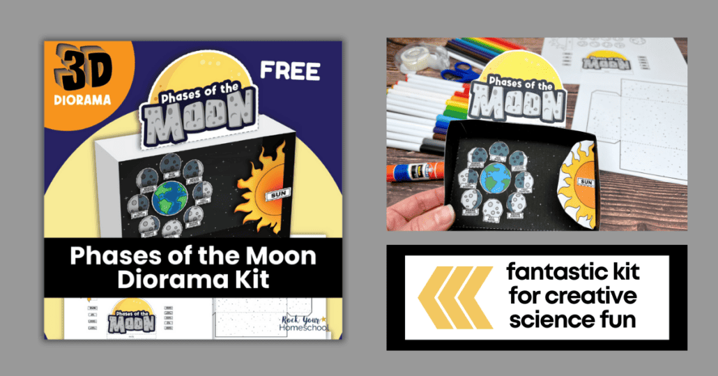 Woman holding example of free  phases of the moon printables diorama.
