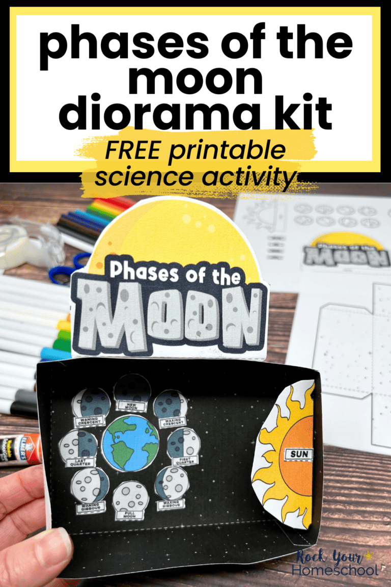 Woman holding example of phases of the moon diorama kit.