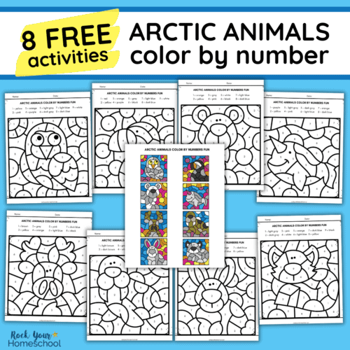 8 free arctic animals color by number activities.