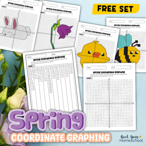 Examples of free printable spring coordinate graphing pages and answer keys in color.