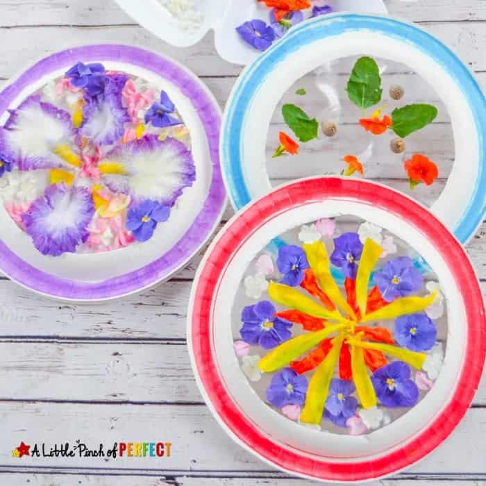 Three examples of suncatcher flower mandalas made with paper plates, markers, and flowers.