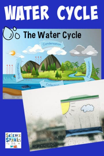 Water Cycle Activities for Kids: 21 Fun Science Ideas - Rock Your ...