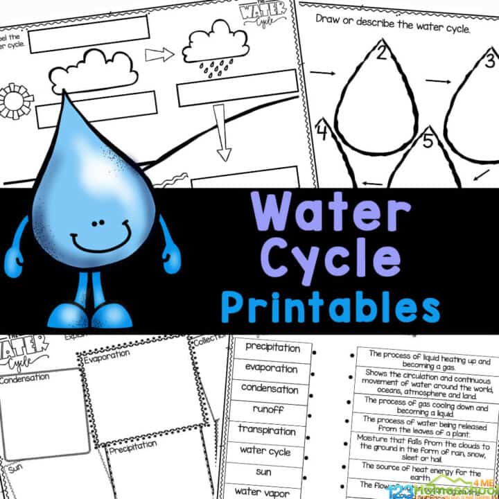 Water Cycle Activities for Kids: 21 Fun Science Ideas - Rock Your ...