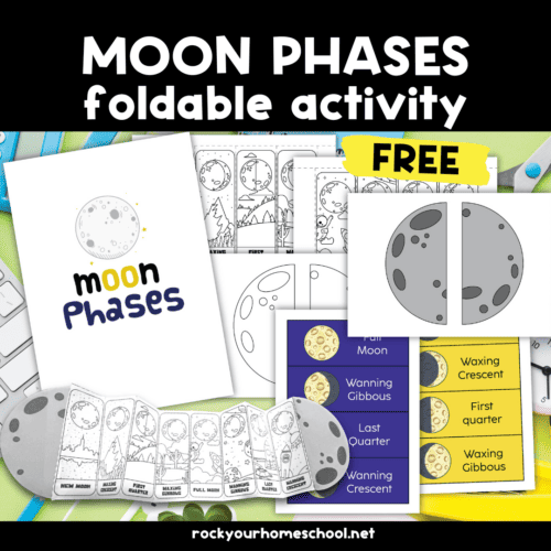 Examples of free printable pages and project of moon phases foldable activity.