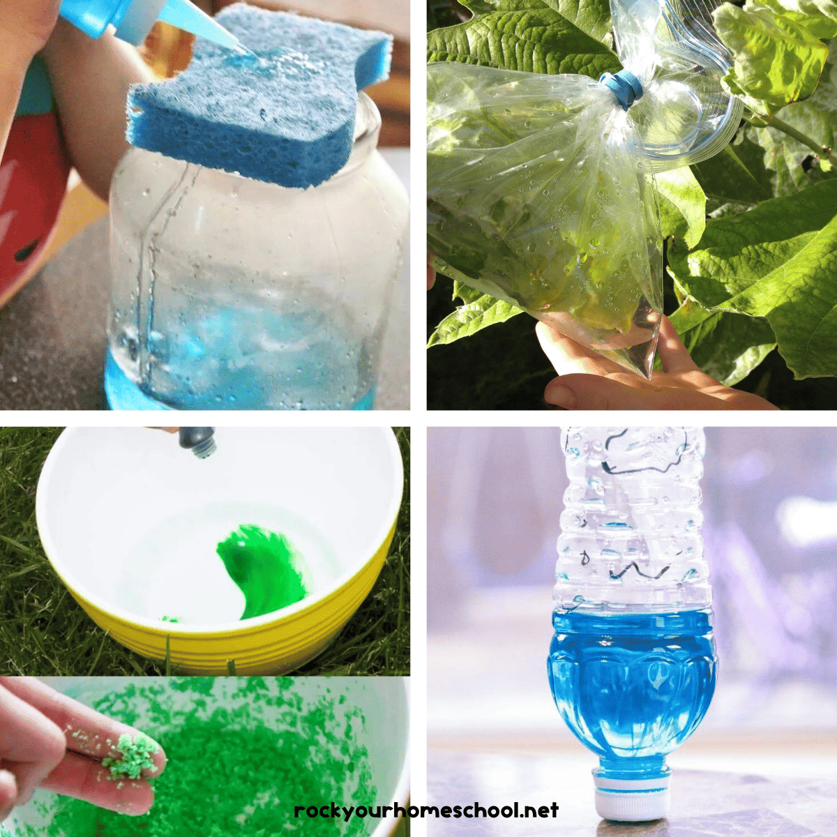 Four examples of water cycle activities for kids with glass jar and sponge with blue water, plastic bag on leaf, green food coloring and salt, and plastic water bottle with blue water.