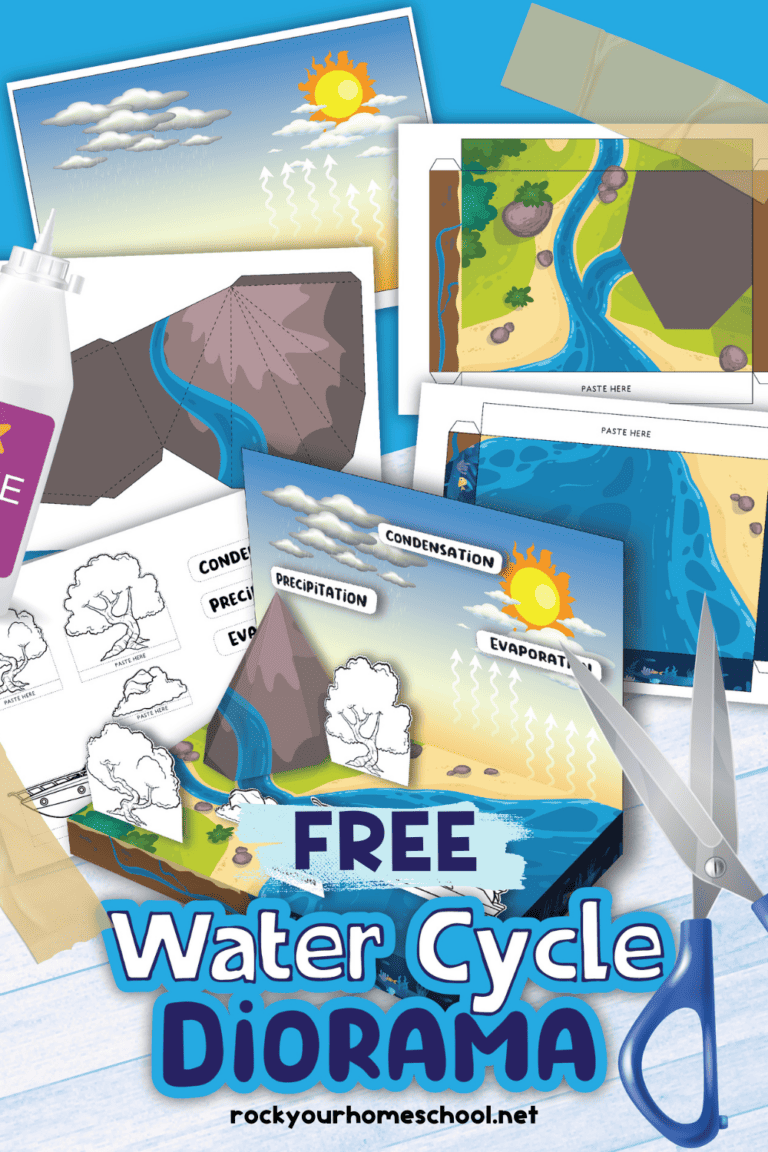 Free printable pages and example of water cycle diorama kit.