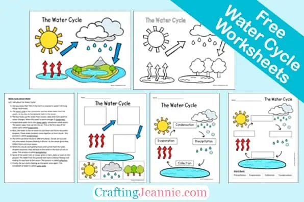 Examples of water cycle worksheets.