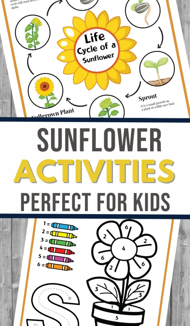 Two examples of sunflower activity pack worksheets.