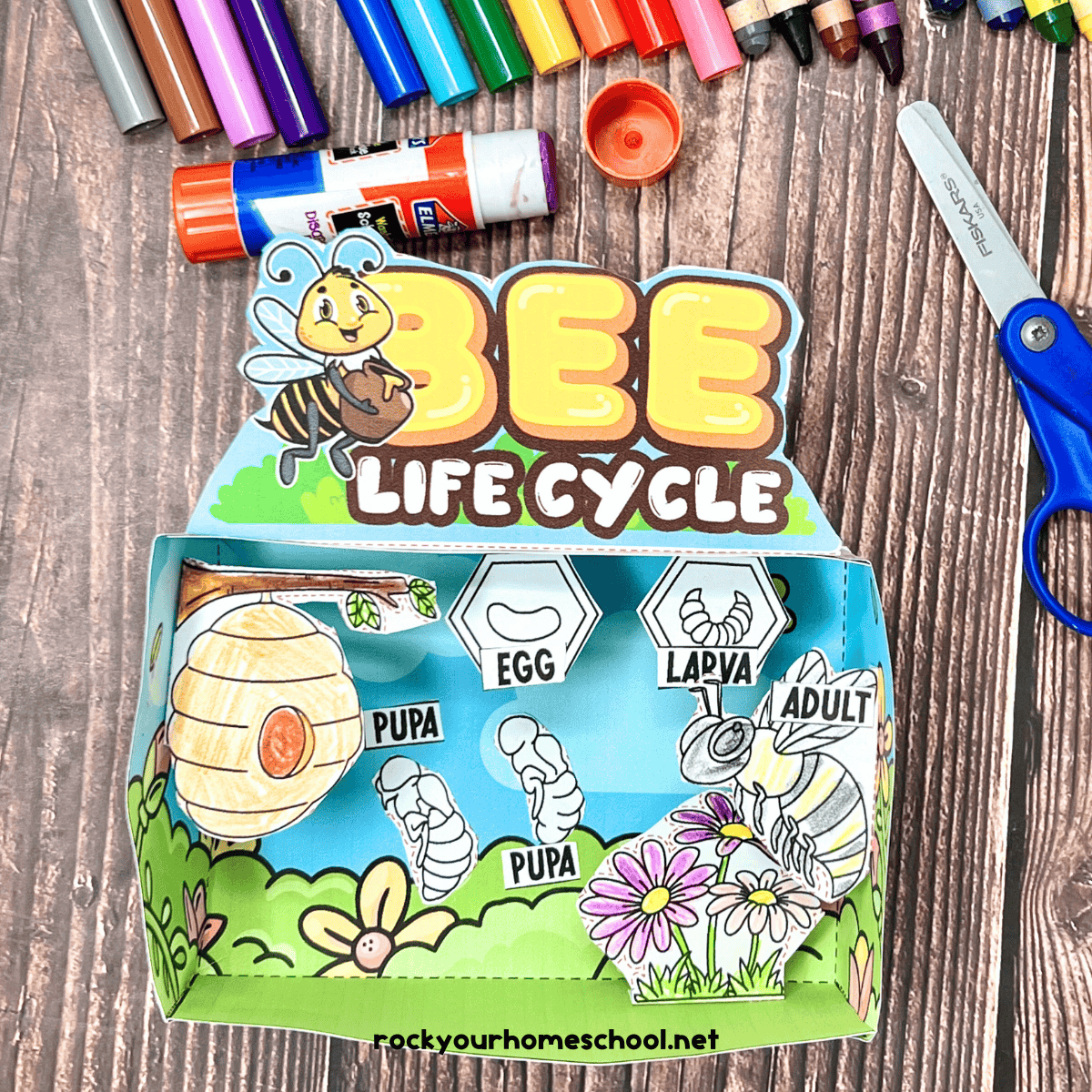 Example of free printable bee life cycle activity for diorama project and more.