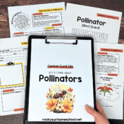 Pollinator Activities for Kids: Fun Ways to Learn (Free)- Rock Your ...