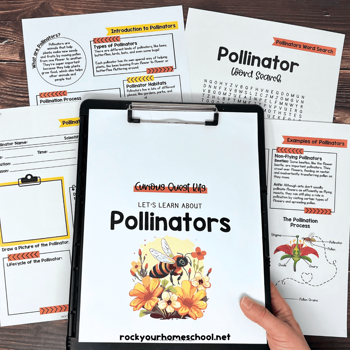 Woman holding clipboard with pollinator activities cover and examples of free printables from set.