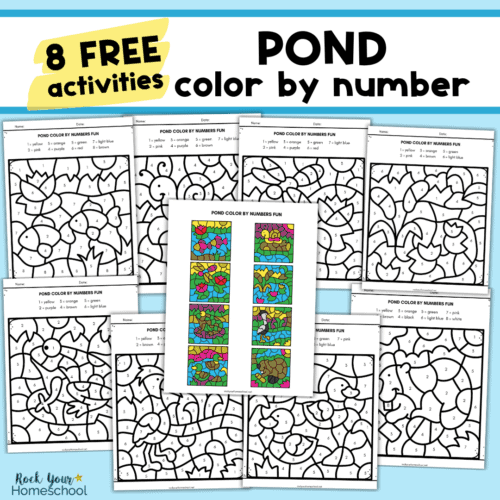 Eight examples of pond color by number pages with answer key.