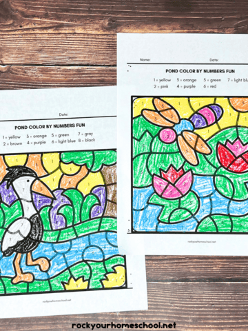 Two examples of pond color by number pages featuring a heron and dragonfly with lily pads.