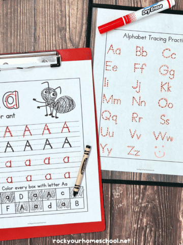Two examples of free printable spring alphabet tracing worksheets featuring print letters.