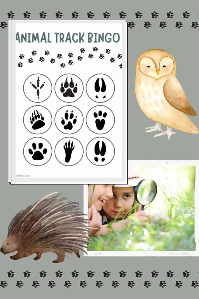 Animal tracks bingo game with owl, porcupine, and kids with magnifying glass.