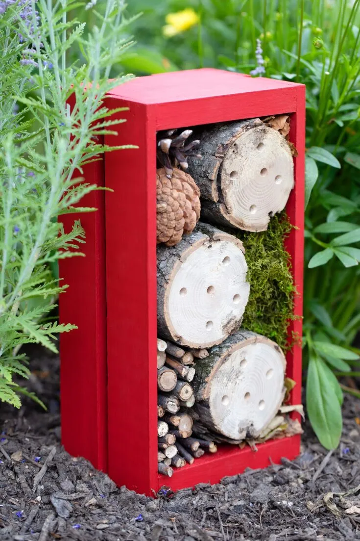 Example of how to make a bug hotel.
