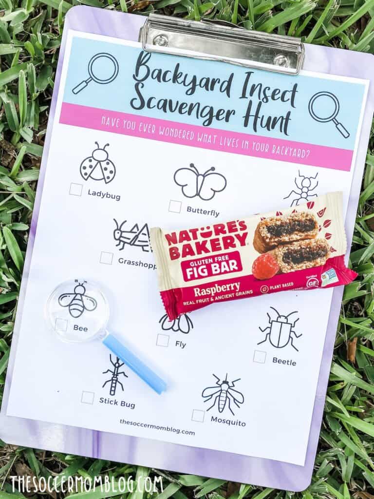 Example of free printable insect scavenger hunt.