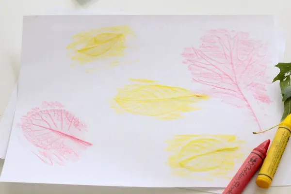 Example of leaf rubbing ideas for kids.