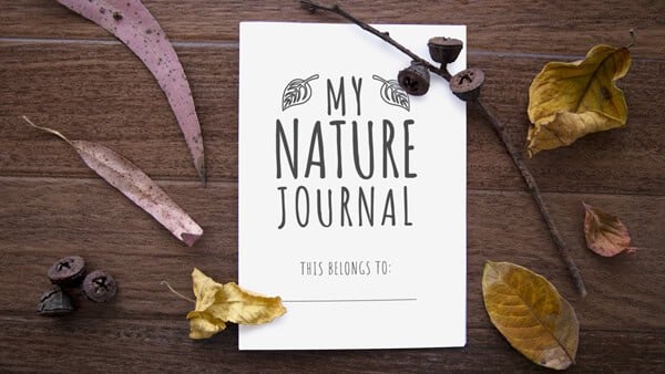 Example of printable My Nature Journal for kids page.