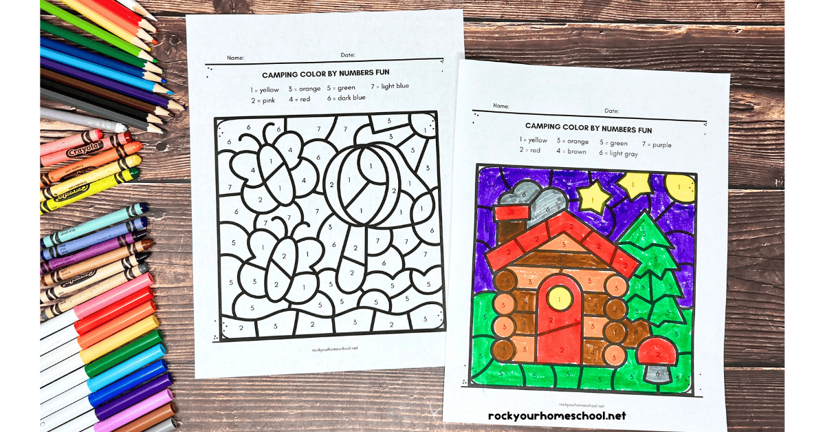 Two examples of camping color by number pages featuring butterflies with net and log cabin with tree.