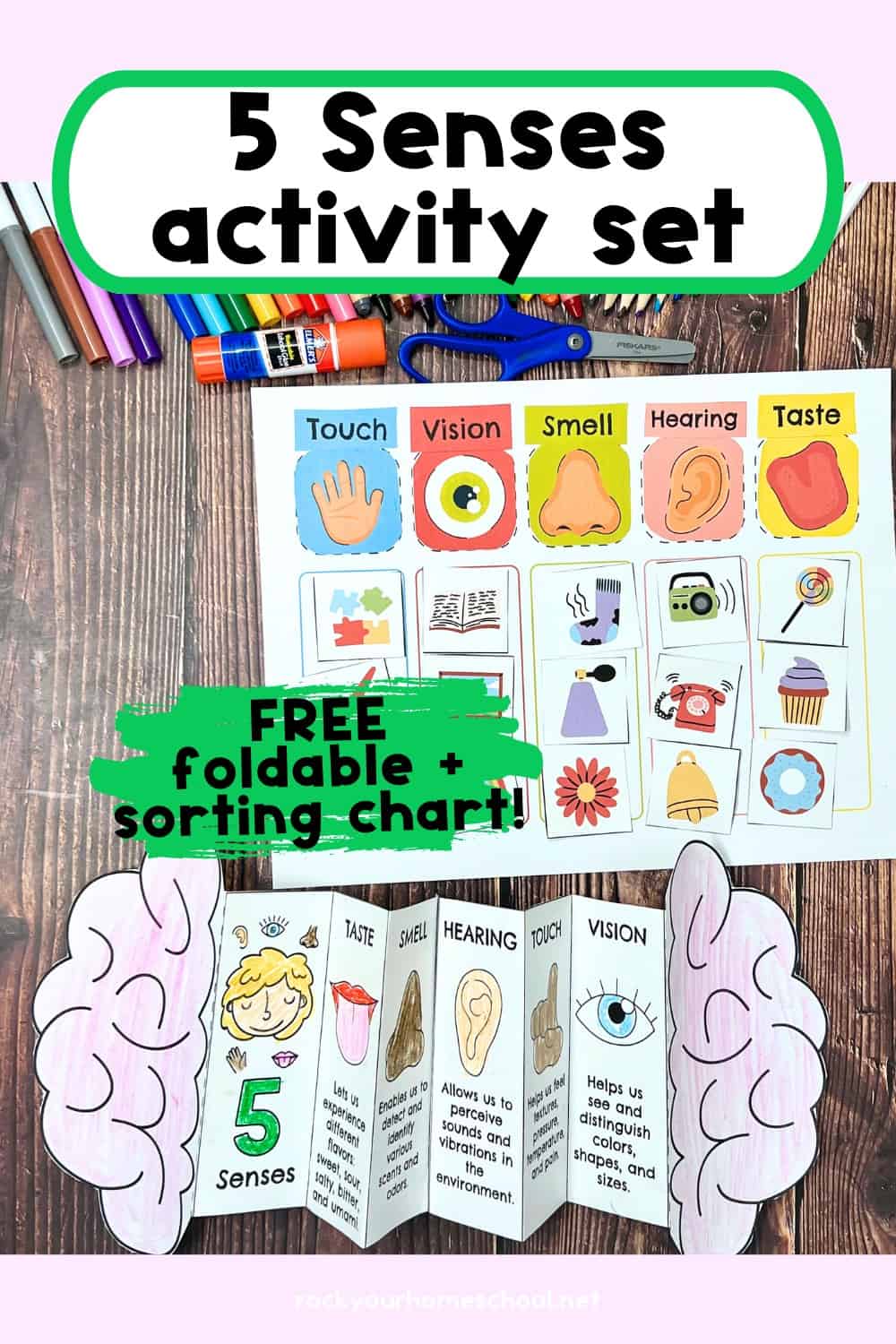 Five Senses Printables Pack for Sorting Fun and More (Free) - Rock Your ...