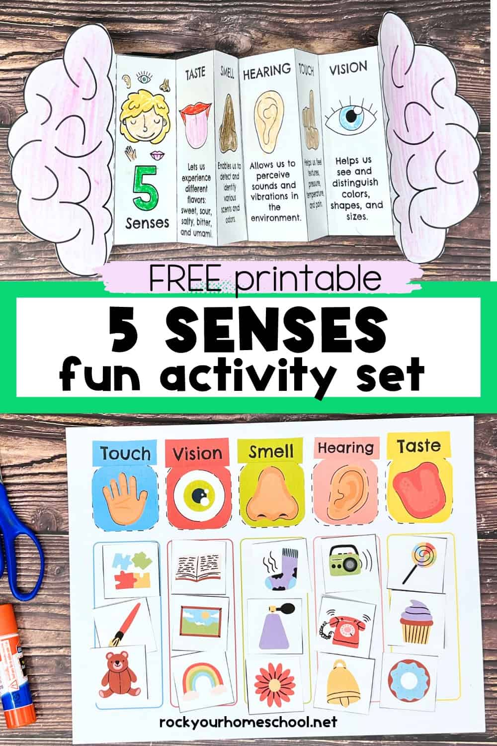 Five Senses Printables Pack for Sorting Fun and More (Free) - Rock Your ...