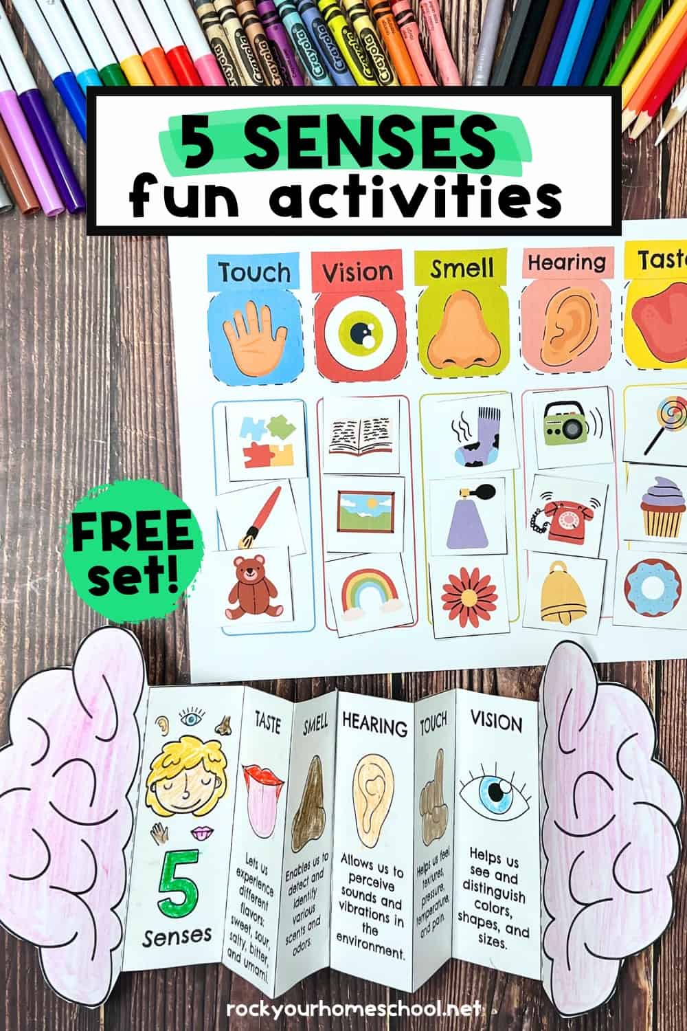 Five Senses Printables Pack for Sorting Fun and More (Free) - Rock Your ...